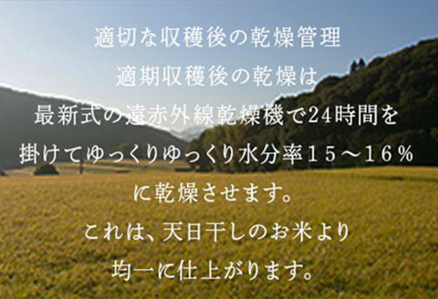 米の食味ランキング3年連続「特A」評価！ 唐津産特別栽培 夢しずく 10kg コメ 精米 お米 ごはん 白米 おにぎり