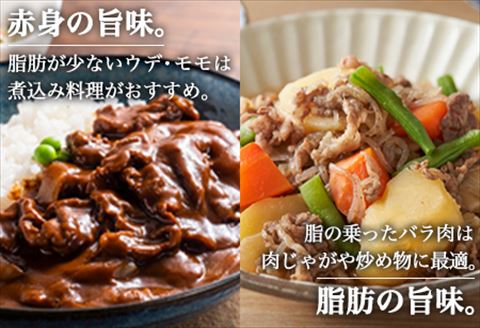 佐賀牛切り落とし 500g (佐賀牛ウデ モモ バラ肉のいずれか) すき焼き しゃぶしゃぶ ギフト