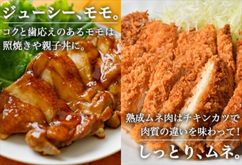 ありたどり正肉セット ありたどりモモ肉 2kg ありたどり熟成ムネ肉 2kg(合計4kg) 唐揚げ 親子丼 ギフト