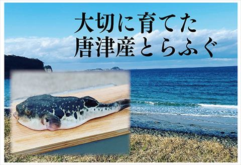 唐津 灯庵うまかセット