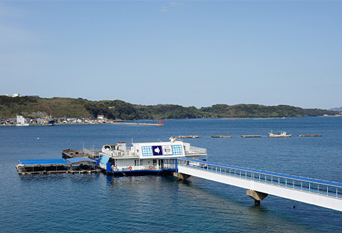 呼子萬坊いかしゅうまいせんべい12袋×2箱セット 煎餅 極旨せんべい お菓子 おやつ 小分け