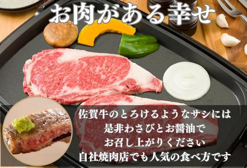 《A5～A4等級》 佐賀牛 ロースステーキ(サーロイン・リブロース) 約250g×2枚(合計約500g) 約3～4人前 全国屈指のブランド牛 牛肉 ステーキ ギフト 黒毛和牛 肉 冷凍 わけあり