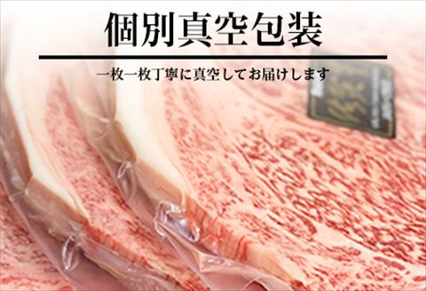 佐賀牛 サーロインステーキ250g×2枚(合計500g) 和牛 ご褒美に ギフト用 2人前 A5~A4等級 霜降り牛肉
