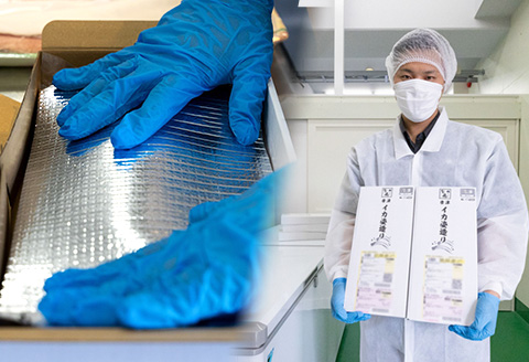 唐津呼子産いか活造り 2杯(約150g～180g×2) 急速冷凍 新鮮そのまま食卓へ！イカ 刺身 簡単 ギフト