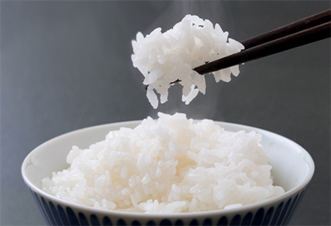 【令和7年産 新米】唐津産特別栽培米 コシヒカリ(白米) 4.5kg ご飯 コメ お米