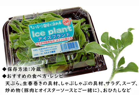 『先行予約』【11月中旬より順次発送】アイスプラント(70g×30パック)ぷちぷち食感 塩味 野菜 天ぷら 生春巻き サラダ スープ しゃぶしゃぶ 炒め物 おひたし