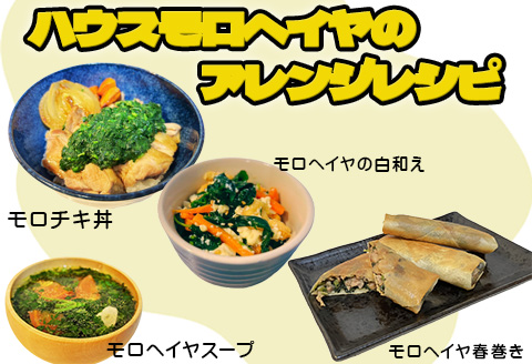 『先行予約』【12月上旬より順次発送】冬穫れハウスモロヘイヤ 100g×10袋 ネバネバ 高栄養価（βカロテン/各種ビタミン/カルシウム/カリウム/葉酸など) 定番おひたし 和洋中の各種スープ 色んなお料理のソースにも 野菜 ねばねば