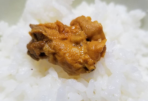 塩うに(ムラサキウニ)70g×2本 ミョウバン不使用 雲丹 海鮮 海産物 瓶詰め おつまみ おかず 酒の肴 ご飯のお供