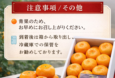 『先行予約』【令和8年7月上旬より順次発送】【全国出荷量1位】佐賀県ハウスみかん 1.8kg 高級甘熟みかん 果物フルーツ 柑橘