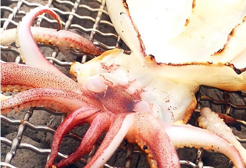 海から直送！剣先イカ一夜干し1袋2枚入り(200ｇ)×2袋 いか おつまみ 干物 酒の肴