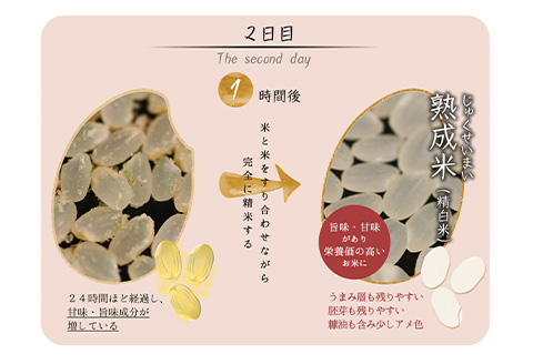 令和7年産 (熟成米) 佐賀県唐津産 特別栽培米 夢しずく 5kg 唐津産 さがびより 5kg (合計10kg) 24時間かけて精米し甘味旨味アップ