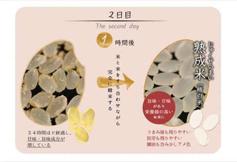 令和7年産 (熟成米) 賀県唐津産 特別栽培米 夢しずく 5kg×2(合計10kg）ご飯 ごはん 白米 お米 コメ