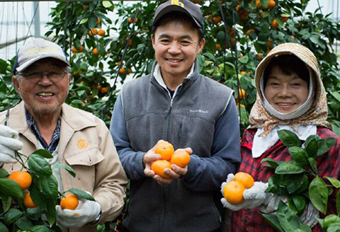 南津海(なつみ)100% 720ml×2本セット みかんジュース 飲料 飲み物 ソフトドリンク 蜜柑 ミカン オレンジジュース