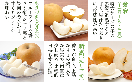 『先行予約』今が食べ頃 特栽 旬の梨5kg【令和8年の夏ごろの発送】和梨 幸水 豊水 新高 あきづき 愛宕 果物 フルーツ くだもの