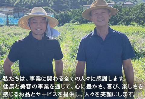 ホーリーバジルティー（2g×12包)×2袋 トゥルシーティー ハーブティー ノンカフェイン ティーバッグ ホーリーバジル 手摘み お茶 唐津産