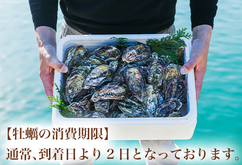 『先行予約』【12月中旬より順次発送】唐津産 殻付きいろは牡蠣 2kg(軍手・ナイフ付)期間限定 産地直送 殻付き 牡蠣 カキ 殻付き牡蠣 佐賀県 海鮮 BBQ 加熱用 お取り寄せ 贈り物 冬ギフト ギフト