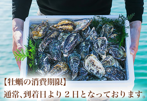 『先行予約』【12月中旬より順次発送】唐津産 殻付きいろは牡蠣 8kg(軍手・ナイフ付)期間限定 産地直送 殻付き 牡蠣 カキ 殻付き牡蠣 佐賀県 海鮮 BBQ 加熱用 お取り寄せ 贈り物 冬ギフト ギフト