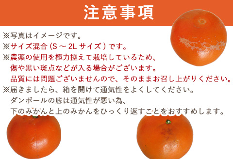 『予約受付』【令和8年1月下旬発送】麗紅(れいこう) ハウス栽培 唐津産 2.5kg 混合サイズ みかん 蜜柑 柑橘 果物 フルーツ
