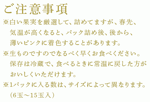 『先行予約』【令和8年2月中旬発送】唐津産 白いちご「雪うさぎ」苺 イチゴ 希少 果物 フルーツ ハマファーム