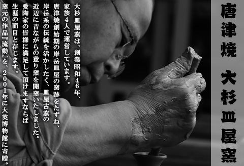 唐津焼 備前唐津 急須(登り草) 茶こし付き 茶器 きゅうす 日本茶 緑茶 ティーポット 食器 ギフト