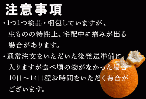 『予約受付』【令和6年2月下旬発送】こだわりの「ハウスデコ(しらぬい)」贈答箱1kg デコポン 不知火 ミカン みかん 柑橘 ギフト