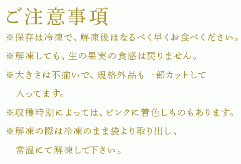 唐津産 冷凍白いちご「雪うさぎ」500g×2袋(合計1kg) 真空包装 加工品用 苺 イチゴ 希少 果物 フルーツ