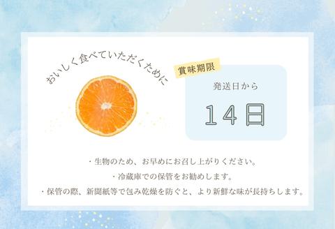 『先行予約』【令和8年6月より順次発送】夏の極上ハウスみかん「夏織」1.3kg  贈答箱・ギフトボックス入り ～海と空と、みかん～ 甘くてとろける夏の果物に ミカン フルーツ 柑橘