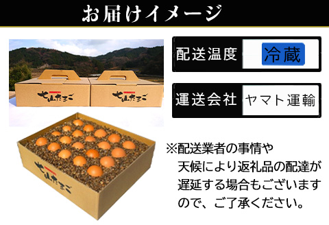 「母の日」放し飼い！七山たまご 20個箱×2(合計40個) (Ｍ~Ｌサイズ相当) 玉子 生卵 鶏卵 佐賀県唐津産