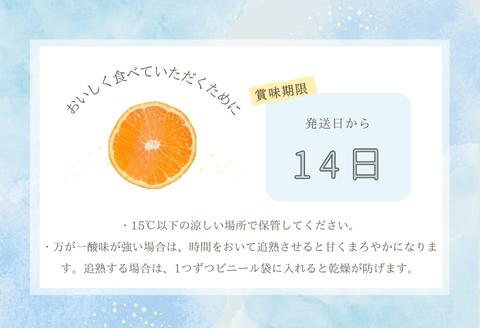 『先行予約』【令和8年1月下旬発送】唐津産ハウス育ち「不知火」1kg 贈答箱・ギフトボックス入り  ～海と空と、みかん～ デコポン ミカン みかん 柑橘 ギフト