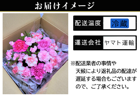母の日 カーネーションのアレンジメントフラワー(メッセージカード付き) 花 お祝い プレゼント