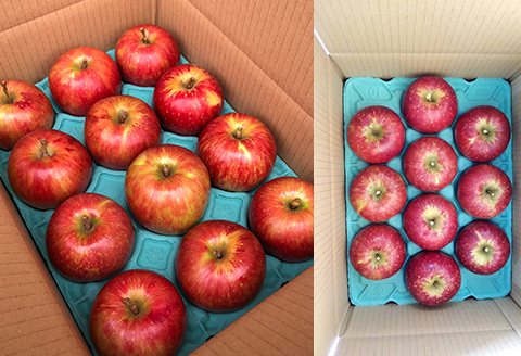 『先行予約』【令和7年8月中旬発送】厳選 九州旬のりんご 3キロ箱(8～12玉入) 九州 リンゴ 林檎 フルーツ 果物 つるが 秋映 紅将軍 シナノスイート シナノゴールド 3kg