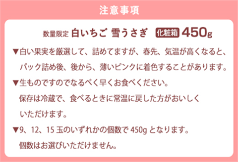 『先行予約』【令和8年1月より順次発送】白いちご 雪うさぎ 450ｇ入り化粧箱（佐賀県唐津市限定生産）苺 イチゴ 希少 果物 フルーツ