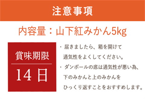 『先行予約』【令和7年11月発送】山下紅みかん(ハウス栽培)唐津産 5kg ミカン 蜜柑 果物 フルーツ