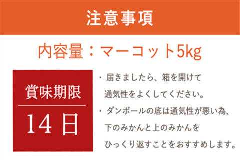 『先行予約』【令和8年2月中旬発送】マーコット（ハウス栽培）唐津産 5kg みかん ミカン 果物 フルーツ