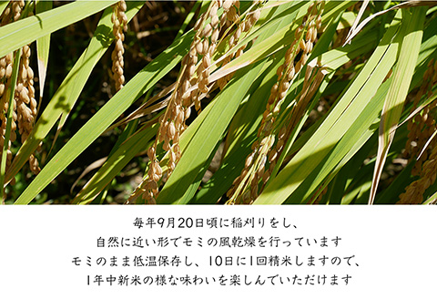 特別栽培棚田米「蕨野」5kg×2袋(合計10kg)  家庭排水が一切入らない自然水で作られたお米 10日に1回精米で新米のような味わい