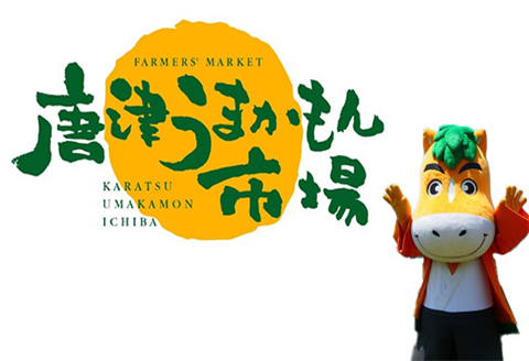 『先行予約』【6月下旬発送予定】唐津産 温室みかん 1.8kg 化粧箱 ハウスみかん ミカン 果物 フルーツ ギフト