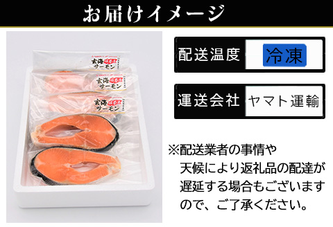 「お歳暮」玄海サーモンステーキカット切身 200g×3パック(合計600g) おさかな村 お弁当 おかず