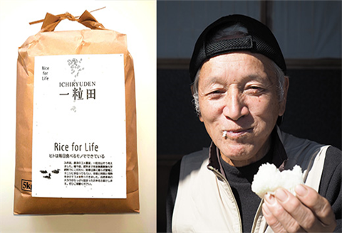 唐津産 あいがも米 5kg (白米) 一粒田 合鴨農法 無農薬 無化学肥料 コメ お米 ごはん