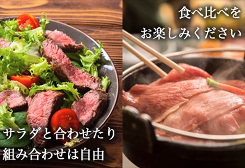 厳選佐賀牛 サーロインステーキ180g リブローススライス300g 2種(合計480g)セット「2024年 令和6年」