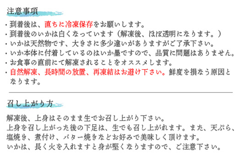 (数量限定)呼子のいか活造り (120g前後×2)小ぶりで歯ごたえも味も鮮度も抜群！