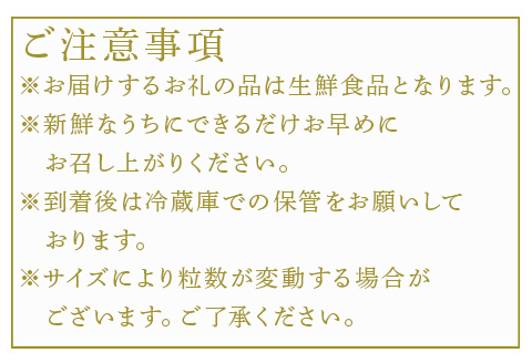 『先行予約』【1月中旬より順次発送】佐賀県唐津市「いちごさん」桐箱 800g いちご 苺 イチゴ 桐箱 ギフト