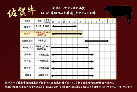 【12月中の発送】佐賀牛リブローススライス600g 霜降り ギフト 訳あり すき焼き しゃぶしゃぶ A4 A5 国産 黒毛和牛 牛肉 霜降り ブランド牛 ステーキ BBQ 焼肉 キャンプ アウトドア 贈り物 ギフト