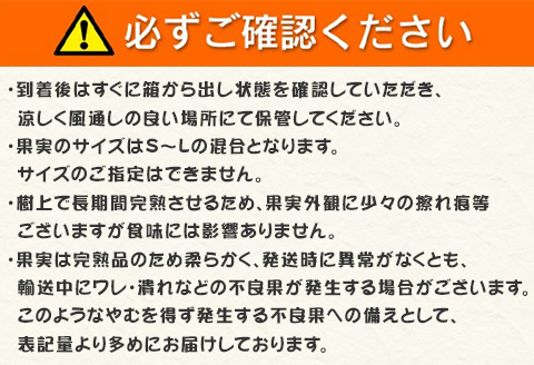 『先行予約』【令和8年1月から発送】吉田みかん園の樹上完熟みかん 10kg 柑橘 ミカン 蜜柑 フルーツ 果物