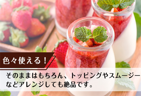 冷凍いちご(いちごさん) 500g×2袋(合計1kg)急速冷凍 新鮮 苺 フルーツ デザート 果物 アイス