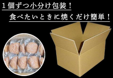 【12月中発送】1957年創業 特上ハンバーグ 140g×20個(合計2.8kg) 「唐津バーグ」商標登録済!! 冷凍真空パック 惣菜