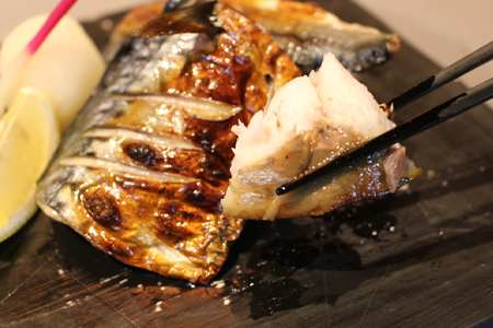 昆布塩サバ詰合せ 約140g×36枚(合計約5kg) HACCP衛生管理 鯖 さば 切身 焼き魚 簡単 おかず