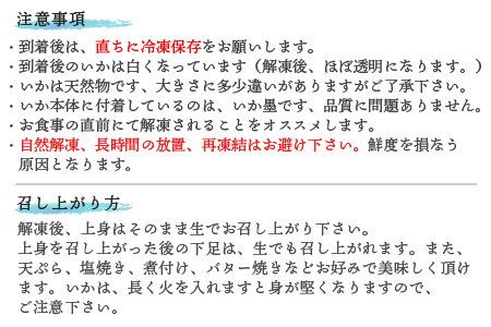 『先行予約』呼子のいか活造り2杯! コリコリ甘い鮮度抜群の透明感! 約200g×2(合計約400g) 刺身 ギフト 冷凍 ※水揚げあり次第5月以降順次発送させていただきます。