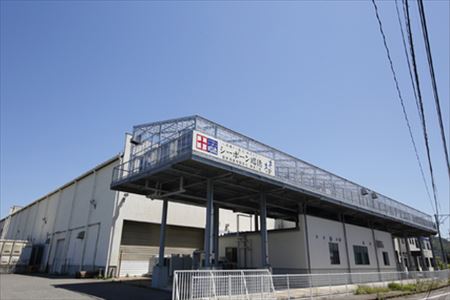 昭徳の天日干し 1枚60g~90g 全16枚(真あじ開き60g×6枚 真さば片身90g×3枚 かます開き80g×3枚 連子鯛開き180g×2枚 剣先いか開き70g×2枚) おかず ギフト