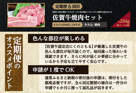 「定期便全6回」 佐賀牛 BBQや焼肉好きな方におすすめ 寄附翌月から発送 (合計3.46kg)A5～A4等級 ギフト 贈り物 アウトドア