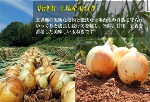 佐賀牛と佐賀県産和豚もち豚の無添加ハンバーグ「さがんバーグ」140g×6個入り